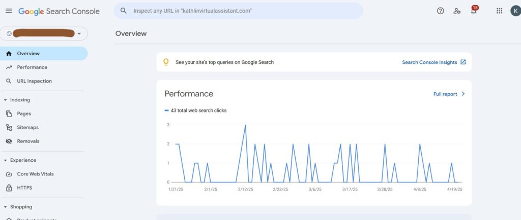 Google Search Console Screenshot 2025